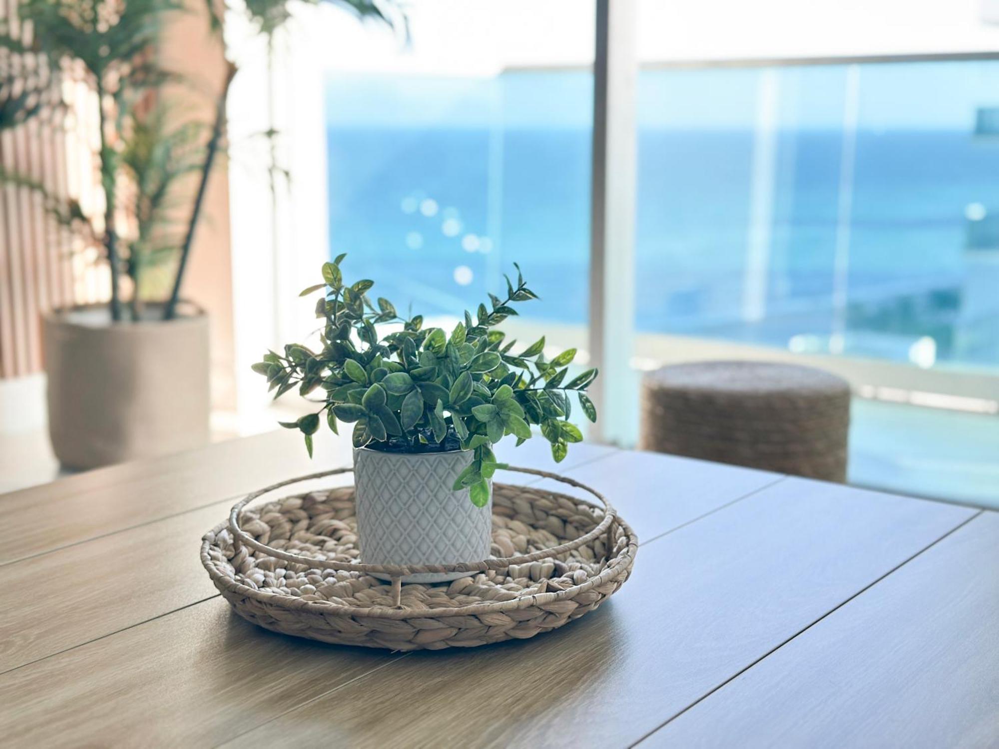 Апартаменти Departamento Frente Al Mar Con Salida Directa A Playa. Голлівуд Екстер'єр фото